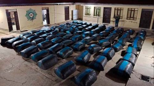 Golpe al narcotráfico: 43 detenidos y 4,7 toneladas de droga incautadas en Carnaval