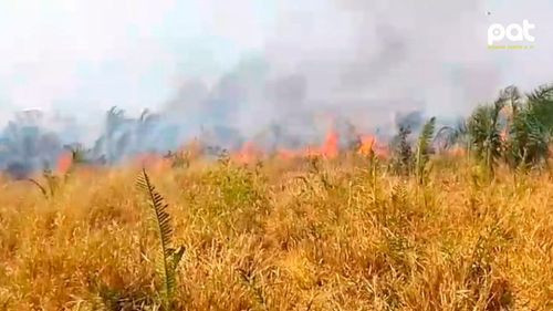 Santa Cruz registra ocho incendios forestales activos