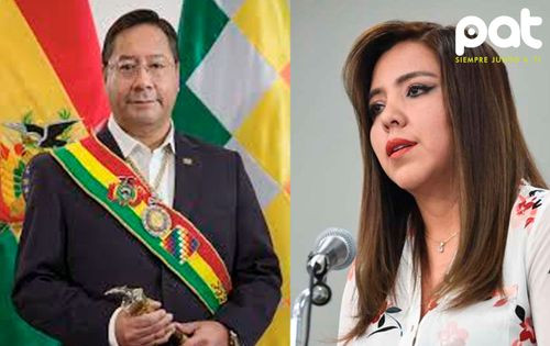 Alcón afirma que no hay privilegios y Arce declarará por la crisis de 2019