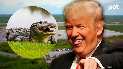 Entre caimanes y pantanos: Trump visita centro de detención para inmigrantes