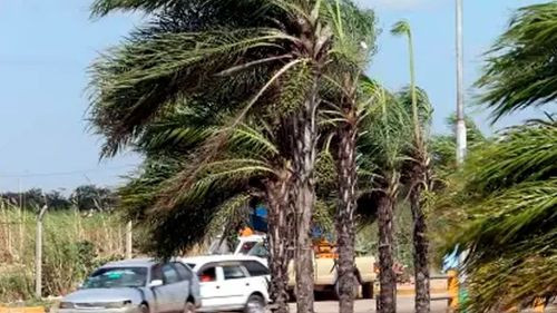 Alerta naranja por fuertes vientos en Santa Cruz