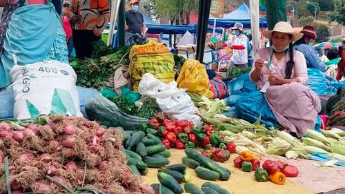 Bolivia enfrenta su peor caída económica en casi cuatro décadas