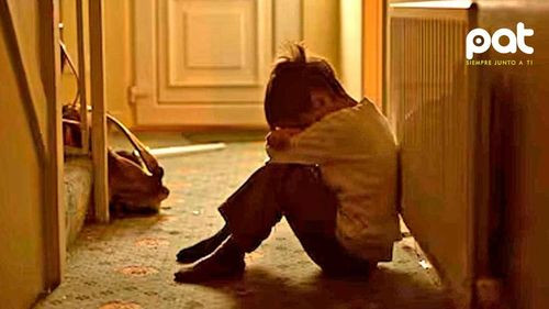 Sucre registra 326 denuncias de negligencia parental en lo que va del año