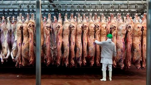CAO celebra apertura del mercado egipcio para carne y pollo como impulso a la economía