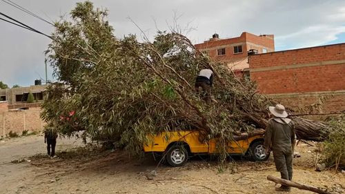 Ráfagas de viento derriban árbol y destruyen camioneta en Quillacollo