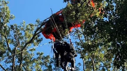 Instructor de paracaidismo muere en salto tándem y estudiante queda colgado en un árbol