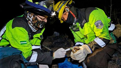 Gobernación rescata fauna afectada por incendios en Guarayos