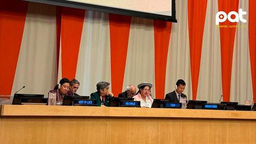 Bolivia presidió encuentro de países sin litoral en la ONU y reafirmó su derecho a un acceso soberano al mar