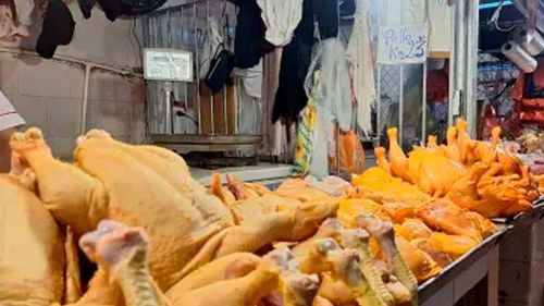 Precio del pollo varía a diario en mercados de Santa Cruz