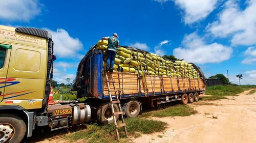 Senasag Pando inspecciona exportación de carbón vegetal