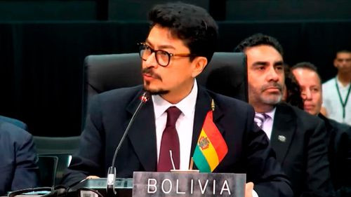 Canciller defiende en la OEA la respuesta del Gobierno a la crisis