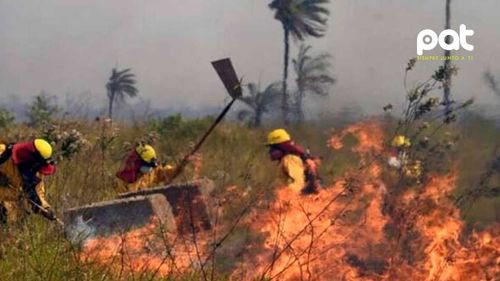 Ocho incendios activos en Santa Cruz; preparan intervención aérea en área protegida de Concepción