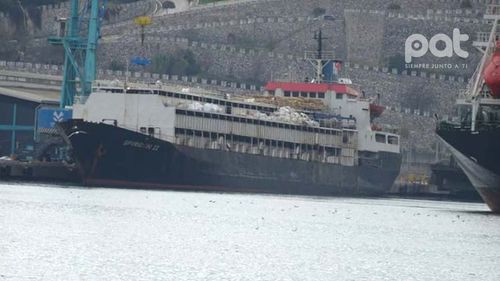 Buque con 2.900 vacas uruguayas llevan tres semanas retenidas por un bloqueo sanitario en Turquía