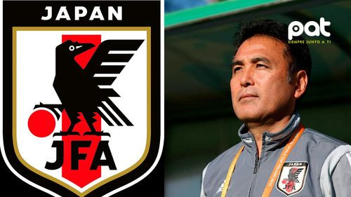 Despiden al director técnico de japón por ver pornografía infantil en un vuelo