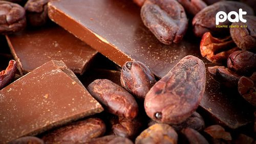 Exportaciones de cacao y café bolivianos se duplican y alcanzan los $us 25 millones entre 2020 y 2024