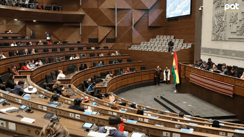 Convocan a sesión legislativa para tratar crédito de $us 100 millones de Japón