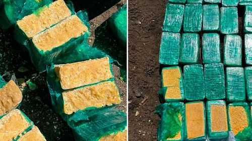 Aprehenden a sargento policial por presunta adulteración de droga destinada a incineración