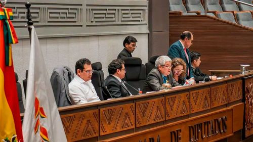 Cámara de Diputados tratará elección de vocales electorales en La Paz y Chuquisaca