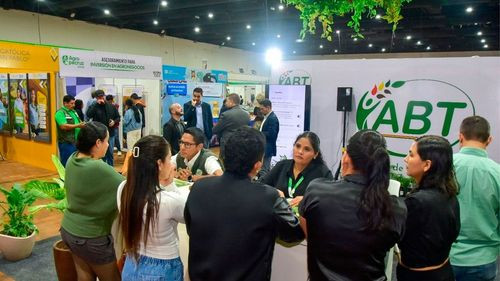 ABT cumple 17 años y anuncia reestructuración para modernizar la gestión forestal