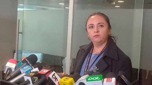 Diputada Cecilia Vargas cuestiona falta de ley económica para enfrentar la crisis