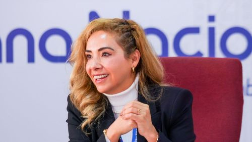 Legisladores exigen control migratorio eficiente tras orden contra Serrudo