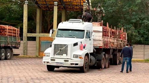 Intensifican controles a cargamentos de madera en la frontera con Brasil
