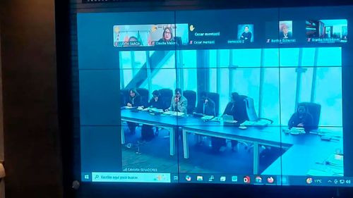 Senado trata proyecto de ley sobre Estados de Excepción