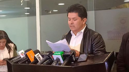 Veliz pide que un representante indígena u originario asuma el ministerio de culturas