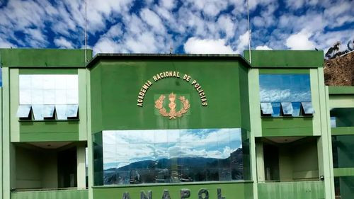 Ministro Oviedo informa a comisión de diputados sobre la muerte de un cadete de la Anapol