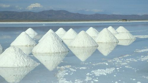  Investigador boliviano utiliza bacteria del Salar de Uyuni para crear bioplásticos a partir de residuos de quinua