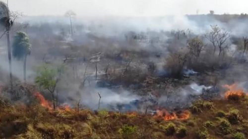 Grupo Ecológico Amboró manifiesta su preocupación por chaqueos en áreas protegidas