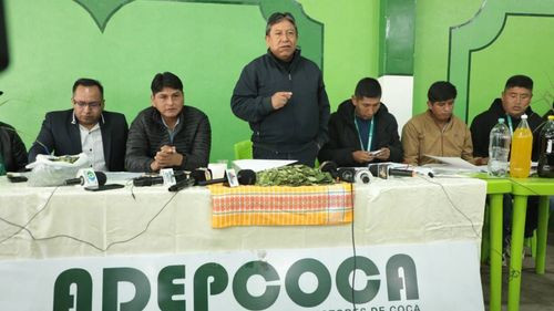 Choquehuanca asegura que la industrialización de la hoja de coca puede superar ingresos del gas en Bolivia