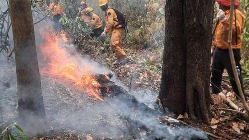 Gobierno contabiliza 17 incendios activos en Santa Cruz