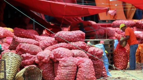 Senasag endurece controles para frenar el ingreso ilegal de cebolla peruana en Cochabamba