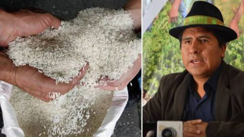 Viceministro evita responder por arroz de mala calidad importado por el Gobierno