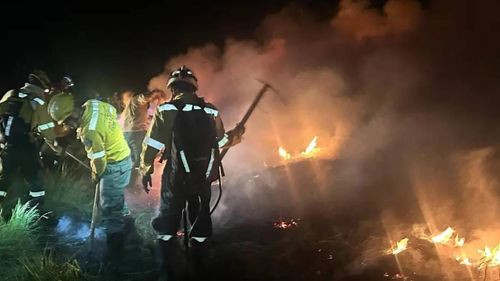 Gobernación de Santa Cruz declara alerta roja por incendios forestales