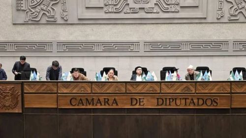 Legislativo boliviano repudia palabras “racistas” de parlamentaria chilena y exige una disculpa