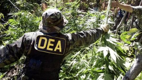 Jorge Quiroga promete retorno de la DEA: “El que no quiere que venga, es narco”