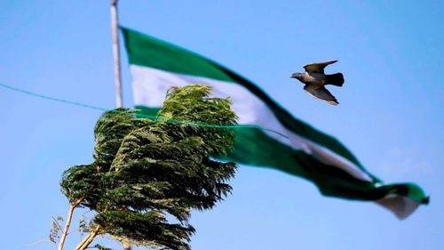 Pronostican fuertes vientos de hasta 90 km/h para este fin de semana en Santa Cruz