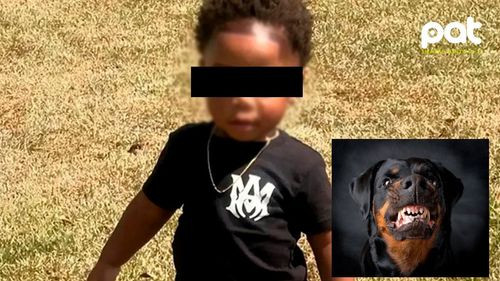Un niño de dos años murió tras ser atacado por dos perros mientras su cuidadora dormía una siesta