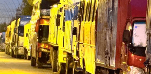 Filas por diésel crecen en el eje central y choferes esperan hasta 24 horas