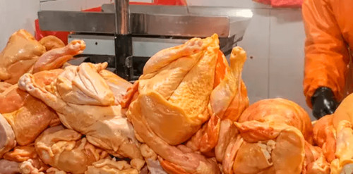 Kilo de pollo sube hasta bs 18,80 en mercados de la paz y genera reclamos por falta de claridad en precios