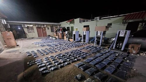 Bolivia identifica nueva marihuana ICE en operativos antidroga