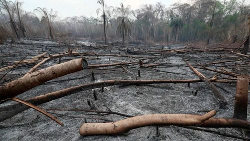 Alertan condiciones extremas que  podrían desatar incendios en la  chiquitania