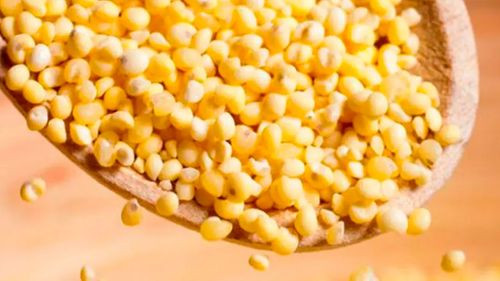 Falta de diésel frena distribución de alimento para el ganado y preocupa a productores