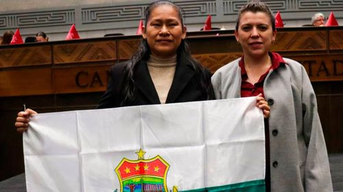 Histórica posesión de la primera  diputada con discapacidad visual  en Bolivia