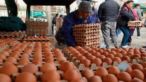 Santa Cruz lidera la producción nacional de huevos