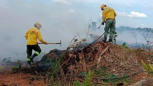Seis incendios forestales siguen activos en Santa Cruz pese a las lluvias