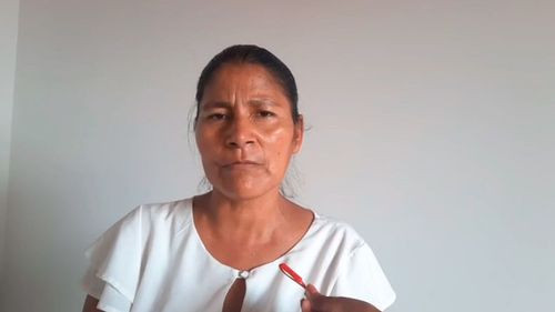 Diputada Amalia Antonio pide urgencia en aprobación de crédito para víctimas de inundaciones