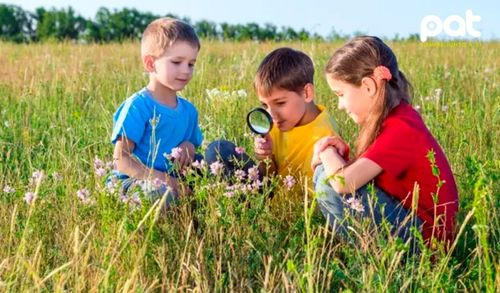 Los espacios verdes benefician la salud mental de los niños en edad preescolar